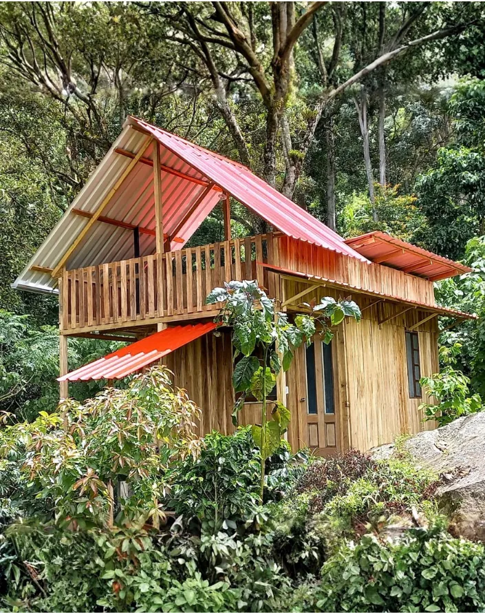 Cabaña de madera entre el bosque