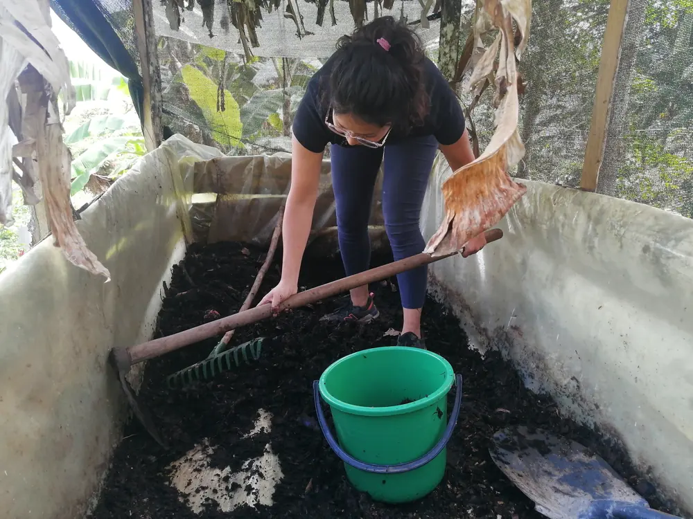 Persona preparando compost en una cama de lombrices